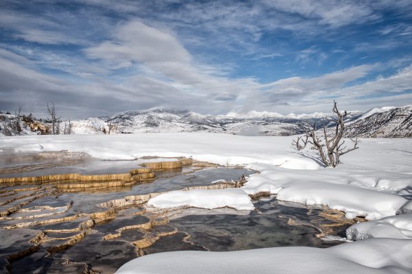 Yellowstone in winter landscape photo