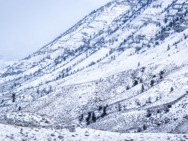 Yellowstone winter landscape Katti Borre