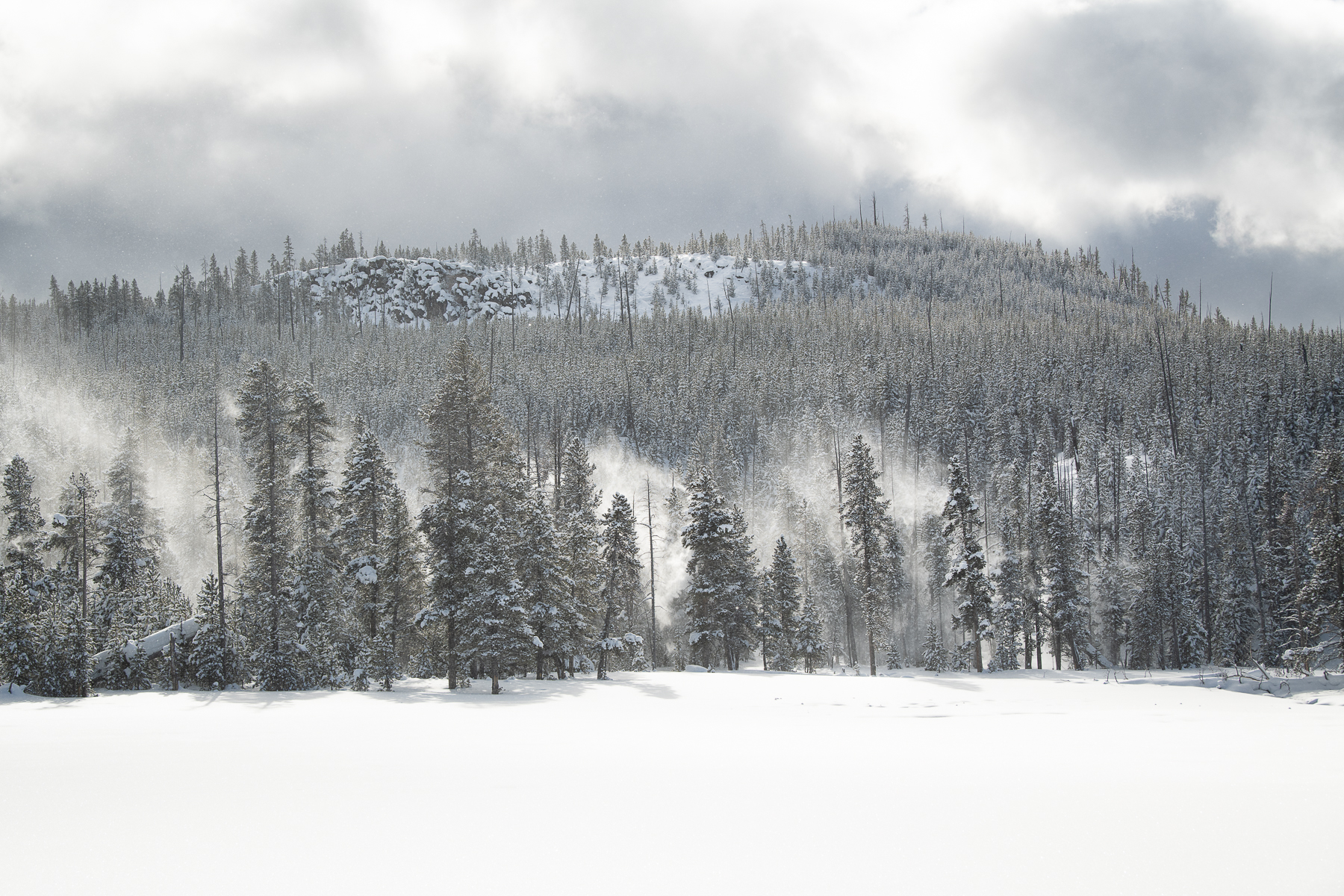 Yellowstone winter landscape Katti Borre