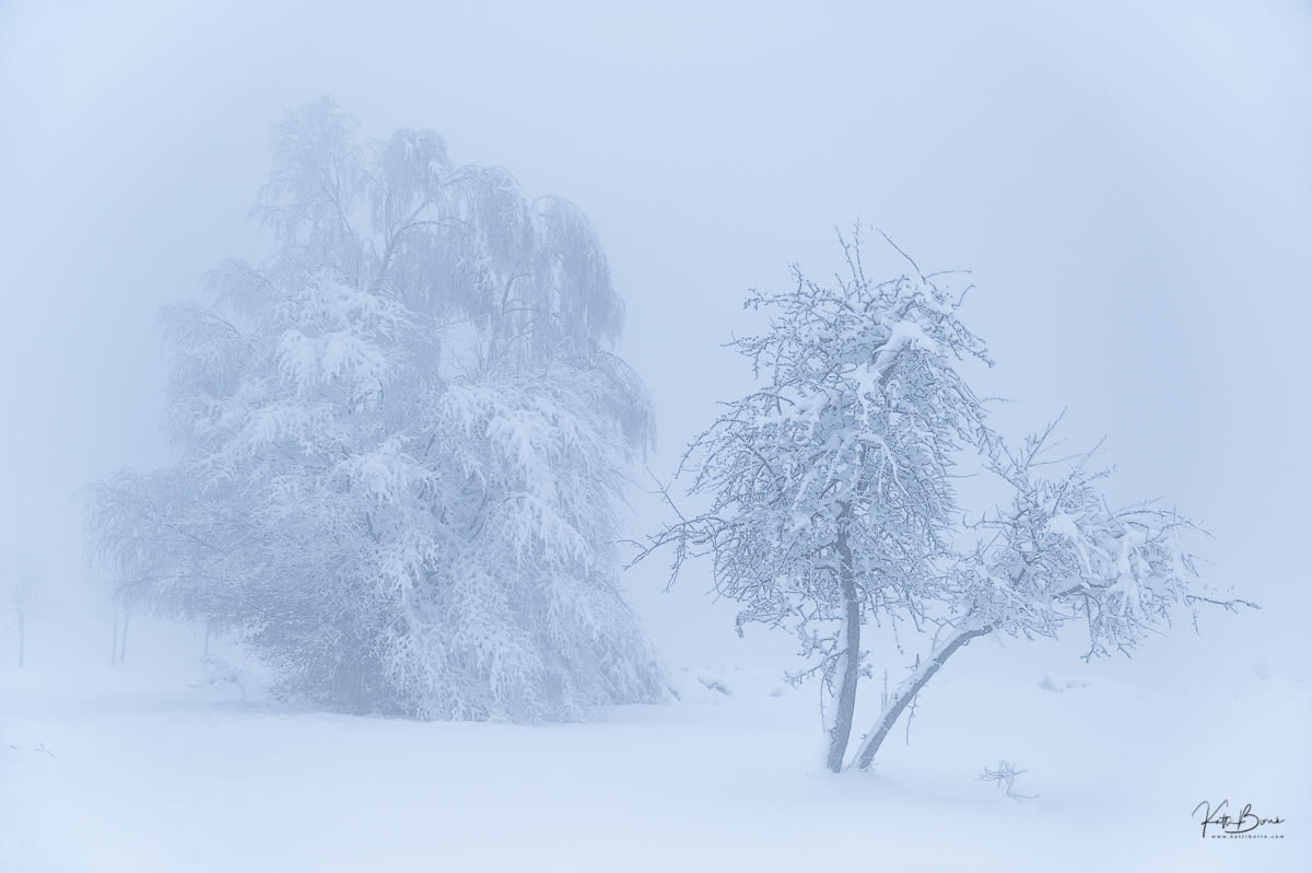 winterwonderland by katti borre