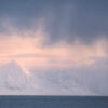 Katti Borre svalbard